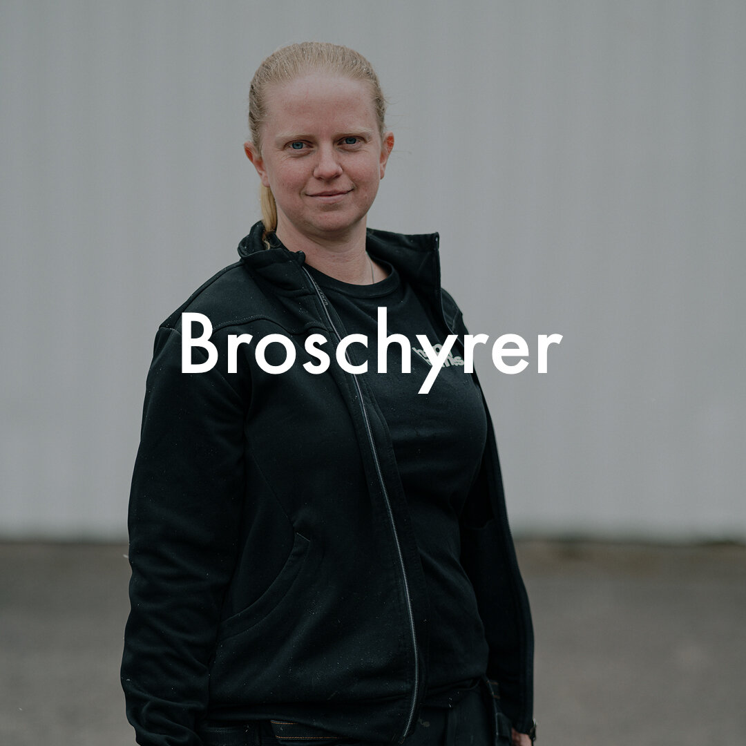 broschyrer proffsmålare