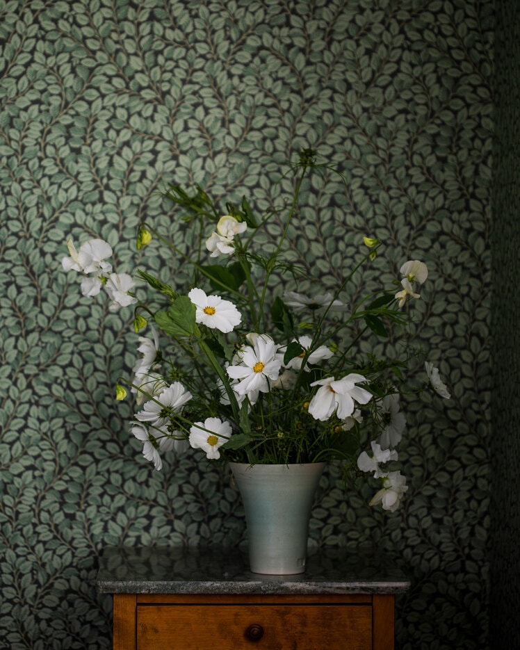 Matcha grön väggfärg med en växttapet