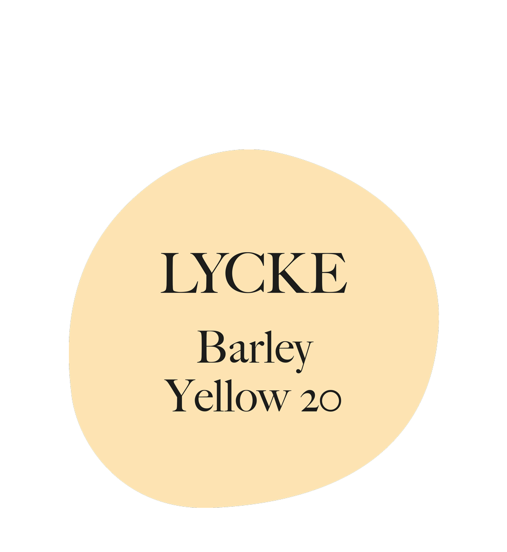 Barley Yellow 20