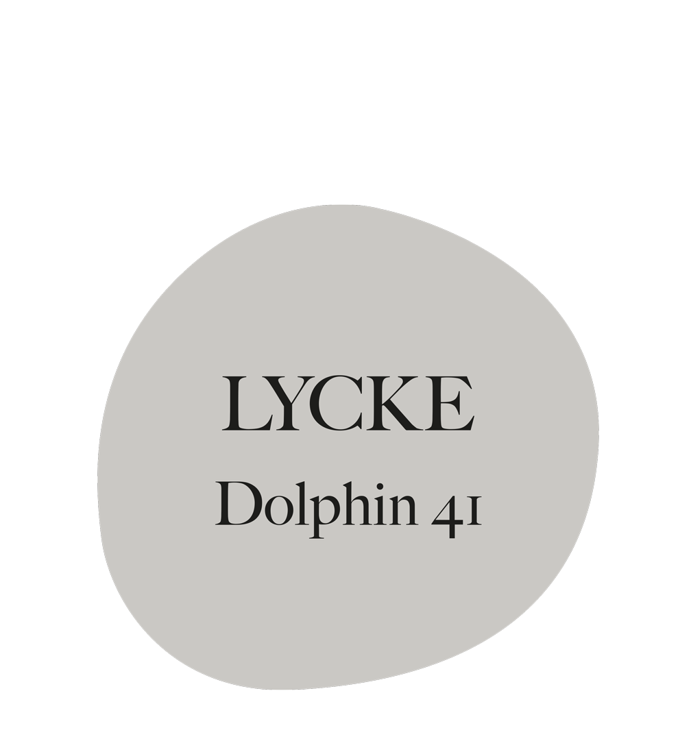 Dolphin 41