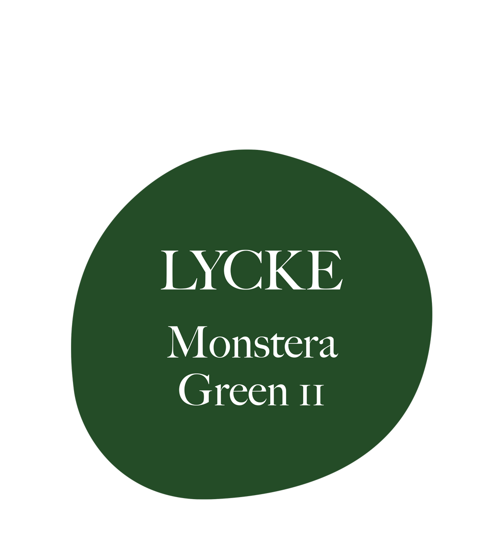 Monstera Green 11