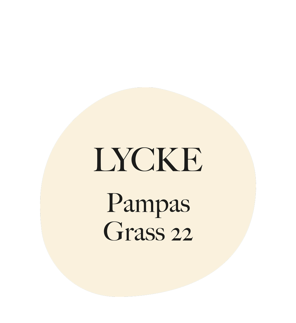 Pampas grass 22