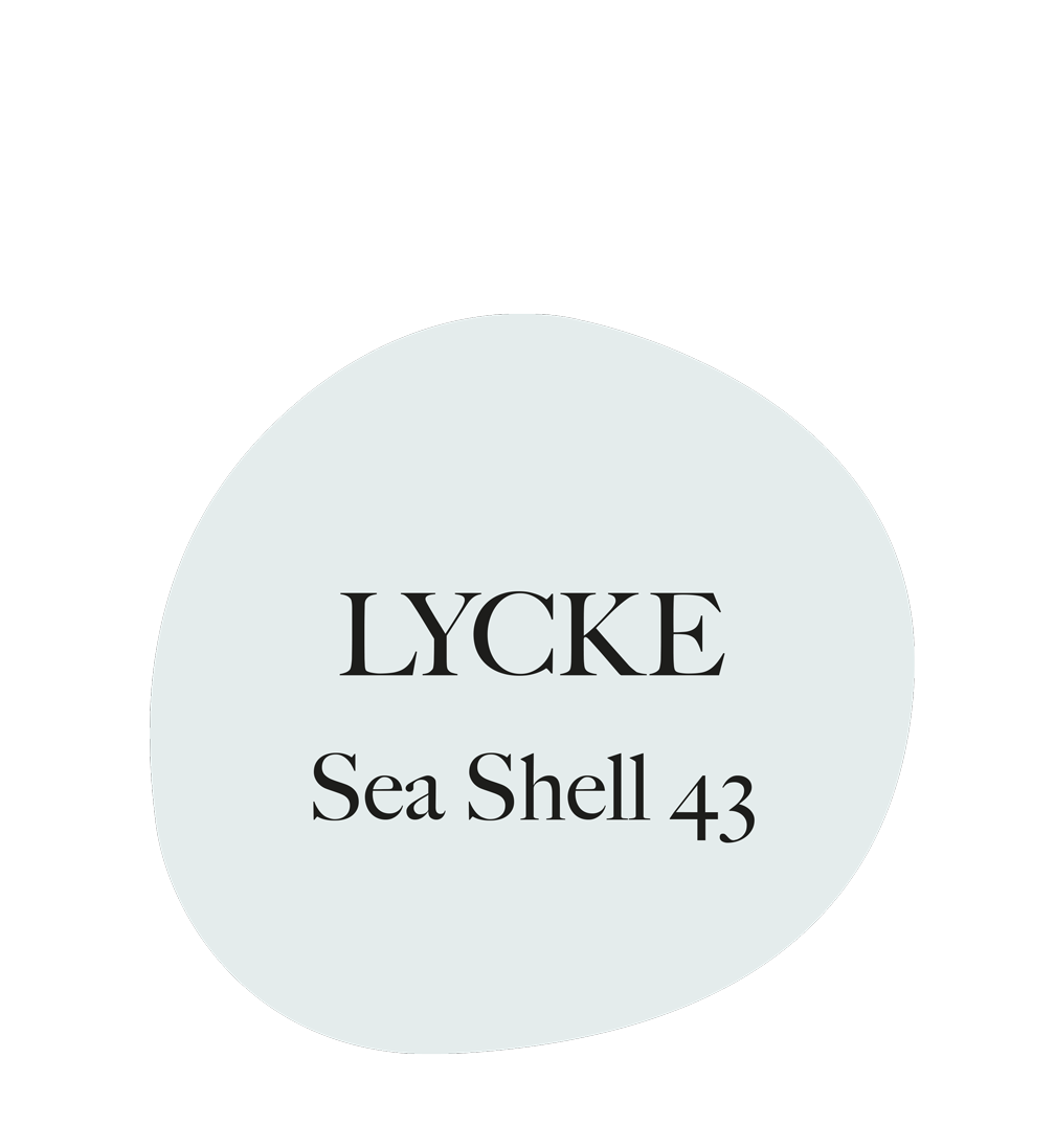 Sea Shell 43