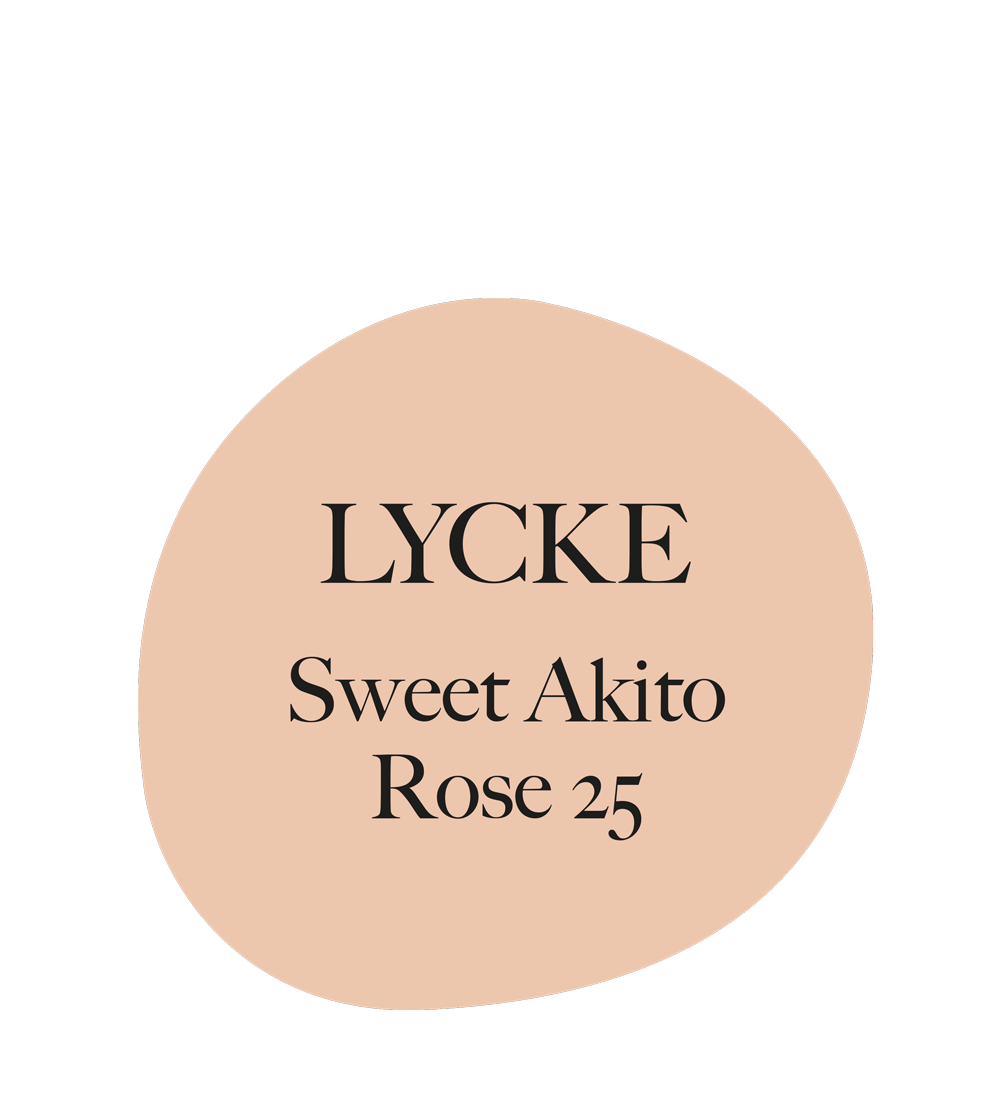 Sweet Akito Rose 25