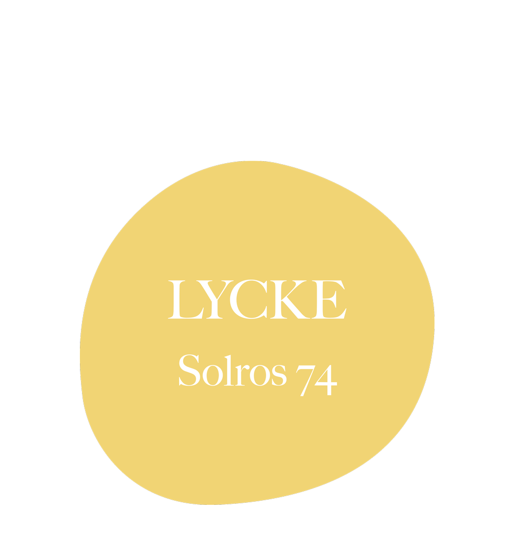 Lycke kulör solros 74