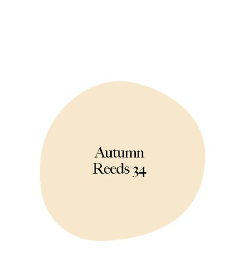 autumn reeds