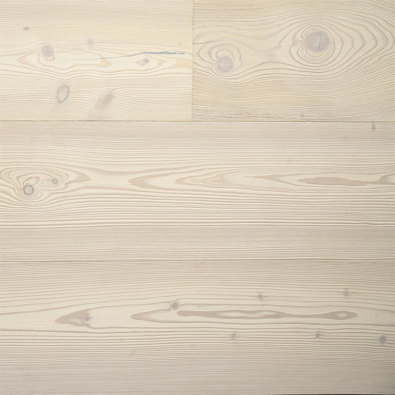 Product Image for Larch Northern Lights 5G