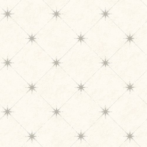 Product Image for Skagen 5248
