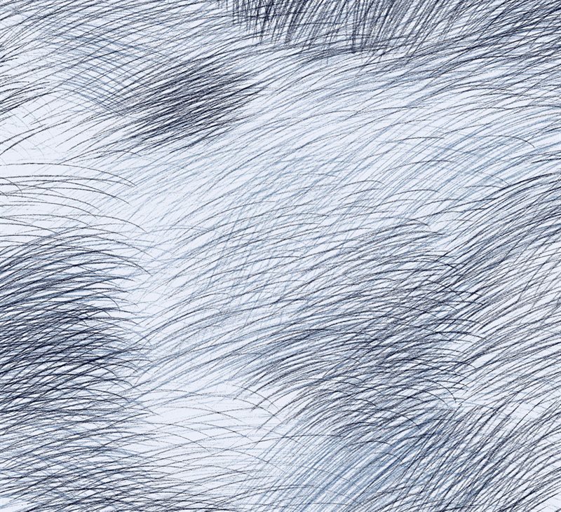 Product Image for Marimekko 6  Tapet