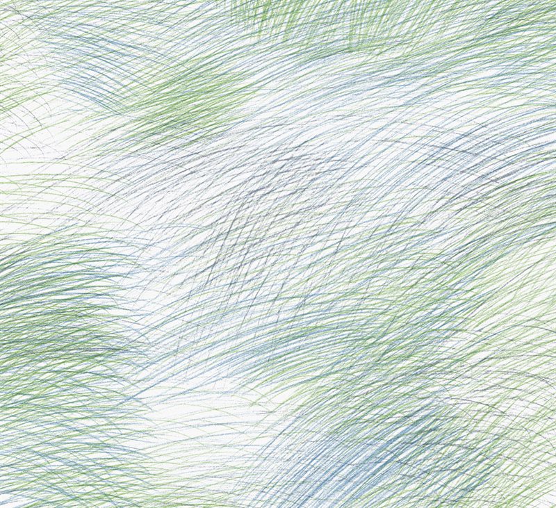 Product Image for Marimekko 6  Tapet