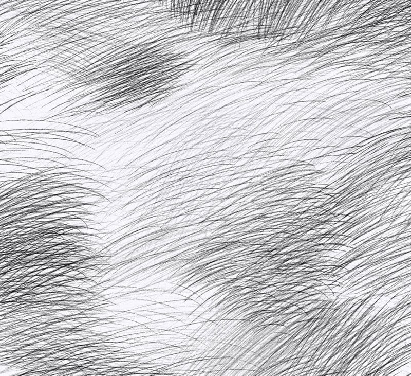Product Image for Marimekko 6  Tapet