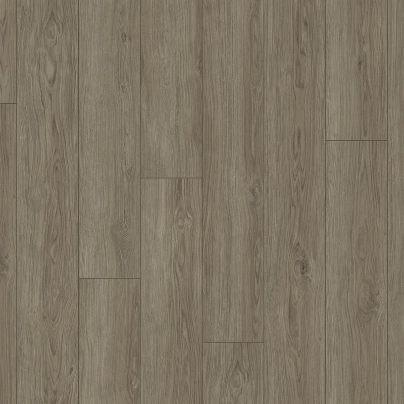 Product Image for Woodstock Soundlogic - Aurora Oak Dawn