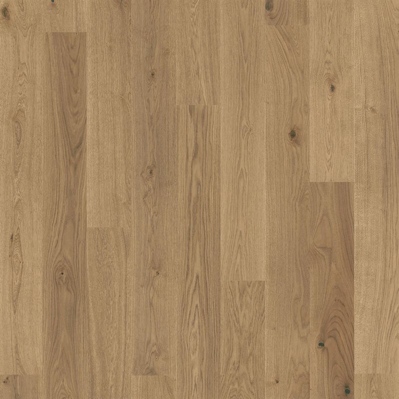 Product Image for Shade - Ek Nutmeg