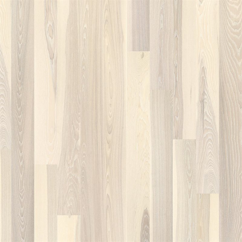 Product Image for Prestige - Ask Seashell