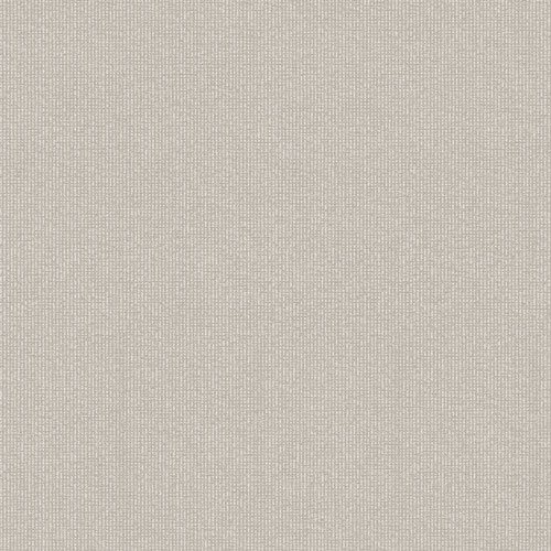 Product Image for Bahia Husto Oyster