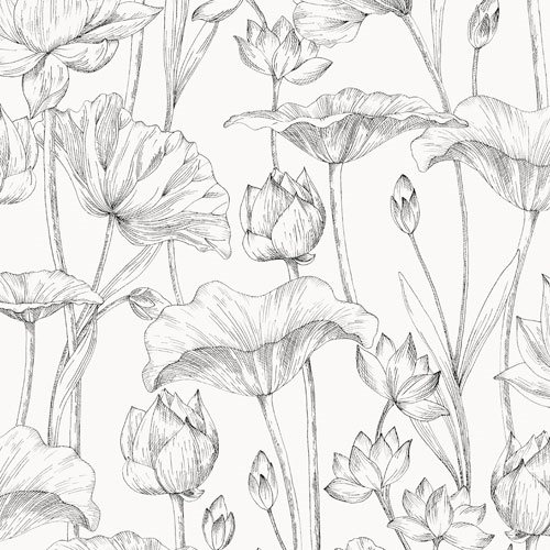 Product Image for Lotus Lotus Black