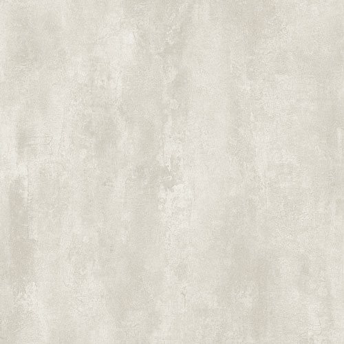 Product Image for Tribute