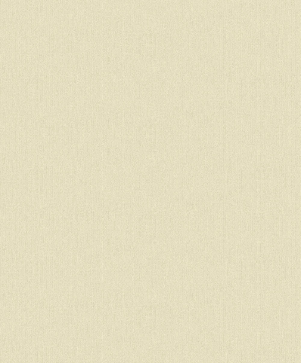 TAPET FIONA HOME PAPER 100906 BYGG PAPPER