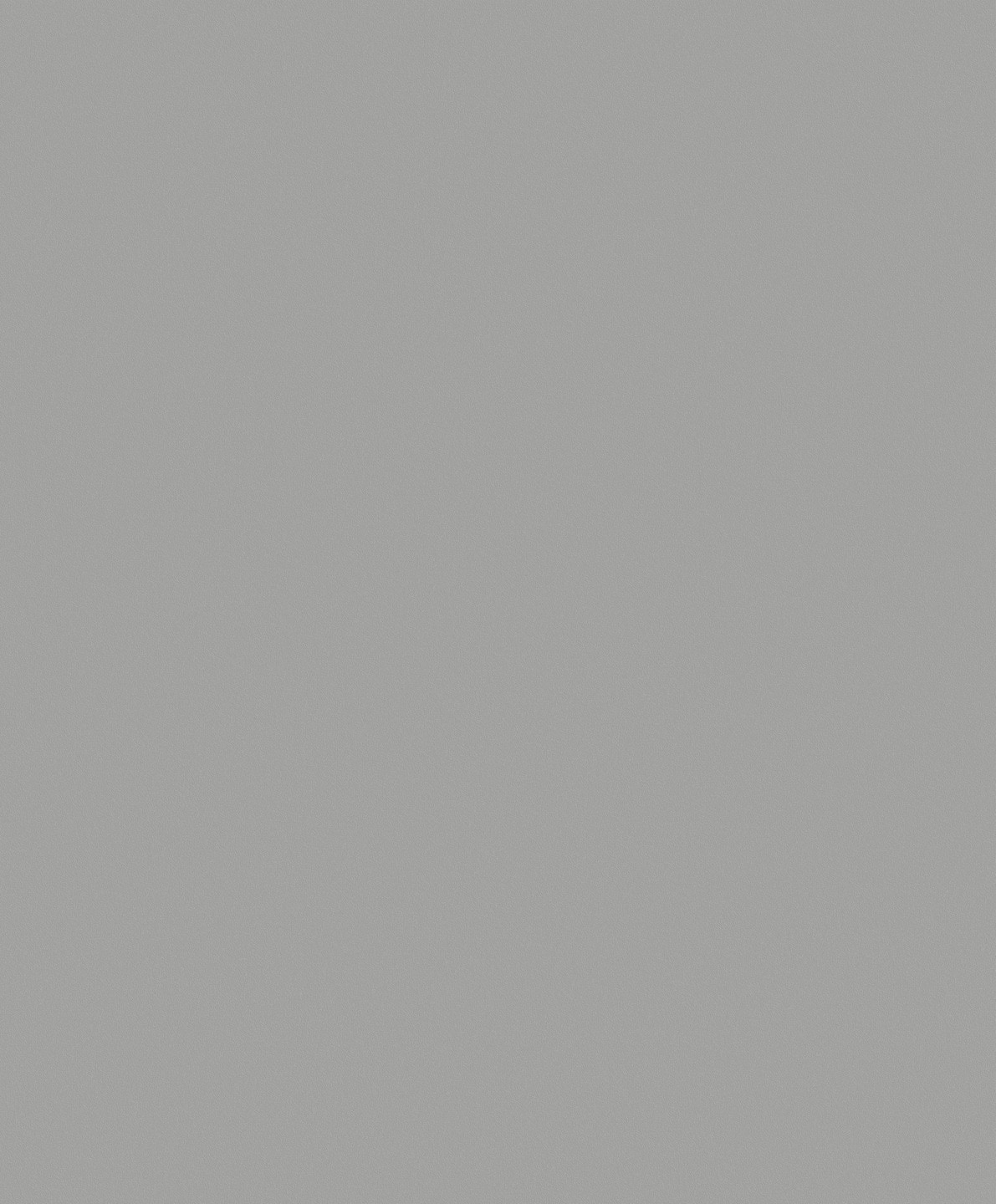 TAPET NORDIC ELEGANCE 630215 NON WOVEN
